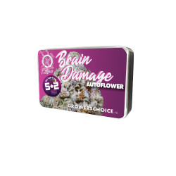 Braindamage Autoflower