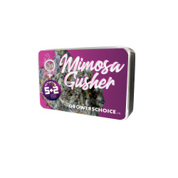 .Mimosa Gusher Limited Edition